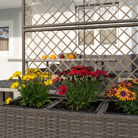 Acapulco Marinos Apartments- Adults Only